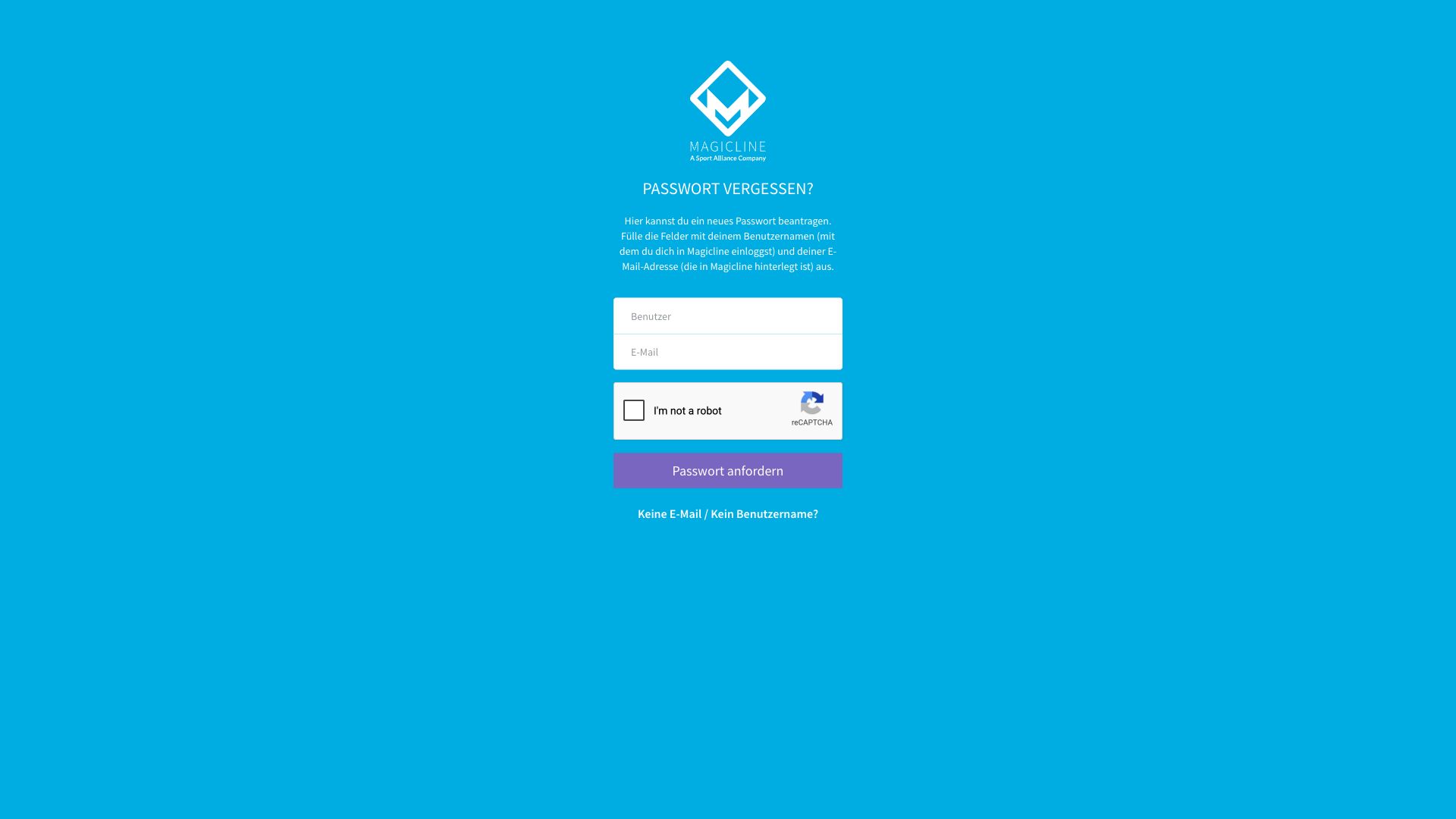 Request password form